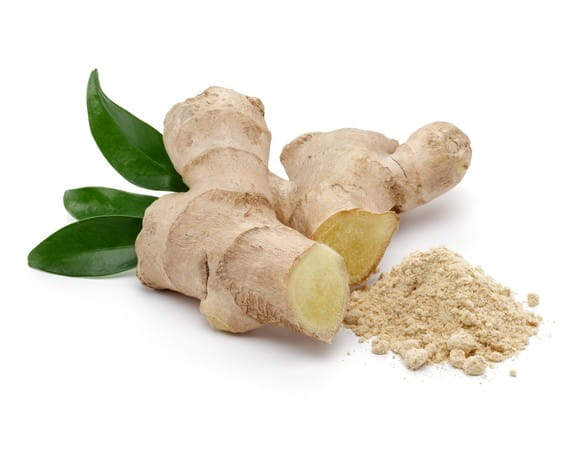 EQUIHERBS
IMBIR - kegelhorses