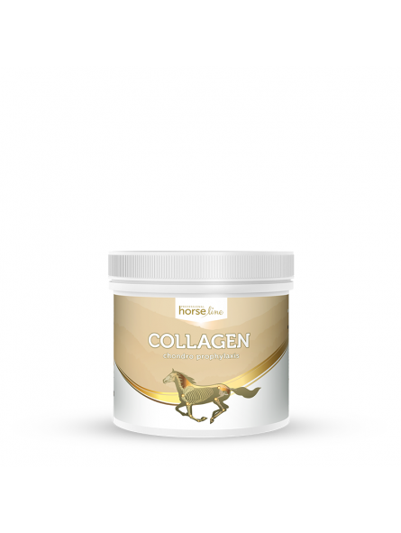 horselinepro-collagen-300g-kegel-horses.jpg