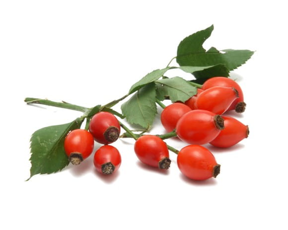 EQUIHERBS DZIKA RÓŻA SUSZONA CAŁY OWOC - kegelhorses