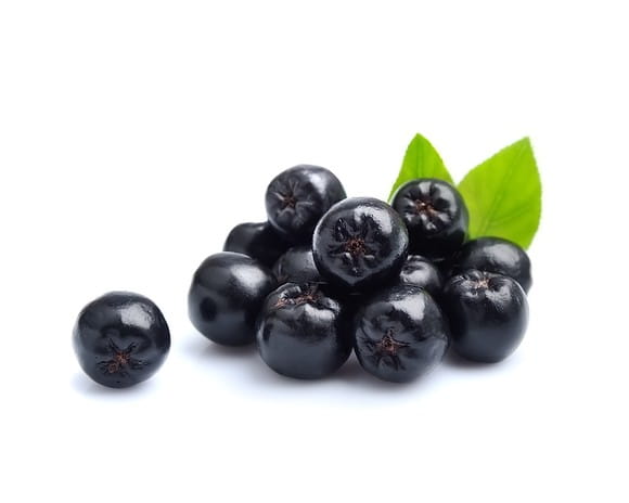 EQUIHERBS ARONIA - kegelhorses