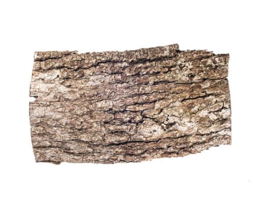 EQUIHERBS
KORA DĘBU - kegelhorses