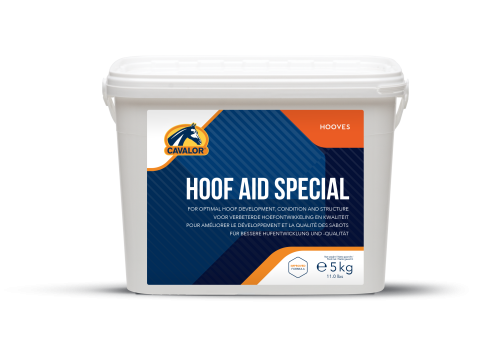 suplement-dla-koni-na-kopyta.png