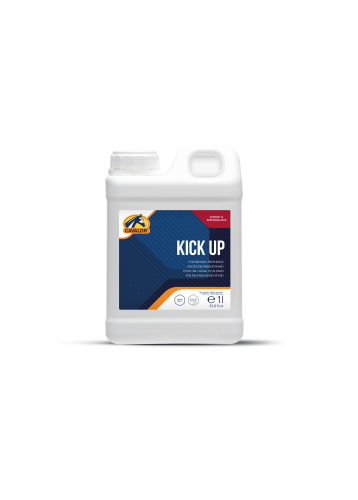 suplement-na-zwieksszenie energii.png