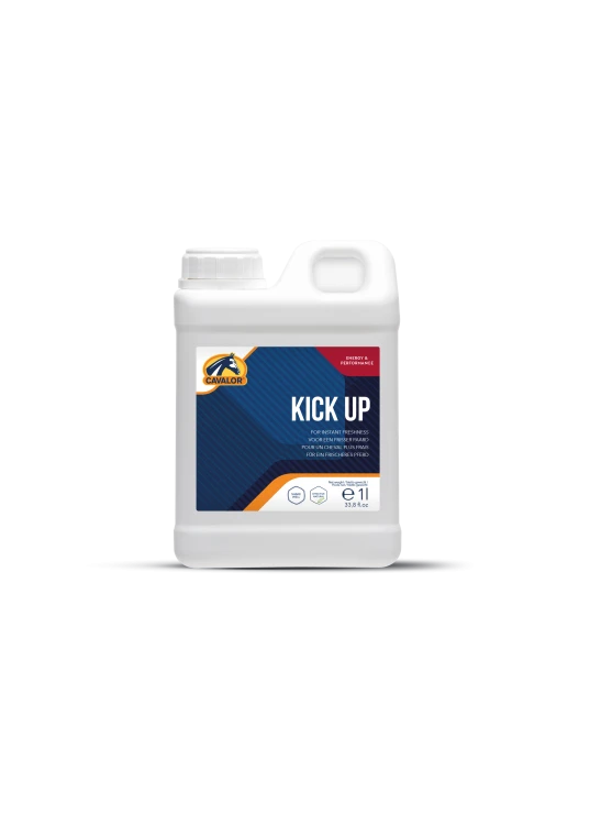 suplement-na-zwieksszenie energii.png