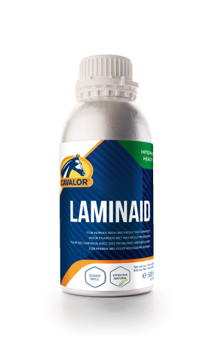 wsparcie metaboliczne i krązeniowe.png