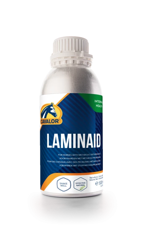 wsparcie metaboliczne i krązeniowe.png