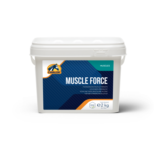 suplement na budowanie miesni.png