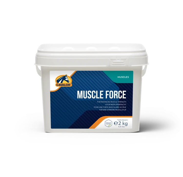 suplement na budowanie miesni.png