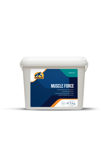 suplement na budowanie miesni.png