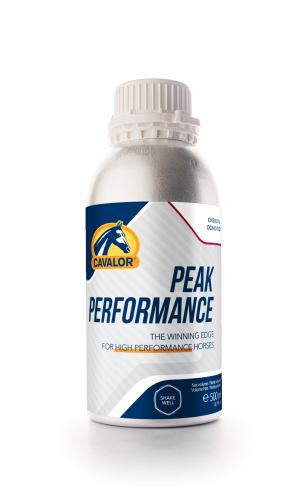 suplement dla koni na wytrzymałość.png