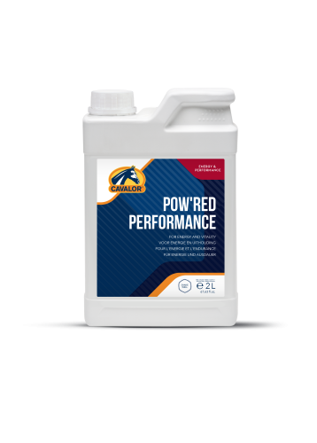 wsparcie produkcji czerwonych krwinek 2l.png