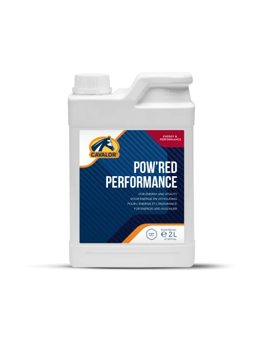 wsparcie produkcji czerwonych krwinek 2l.png