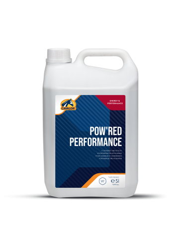 wsparcie produkcji czerwonych krwinek 5l.png