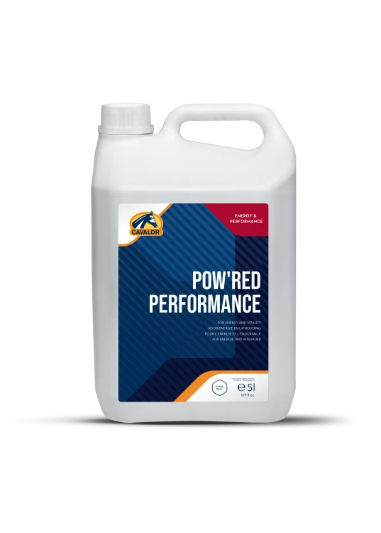 wsparcie produkcji czerwonych krwinek 5l.png