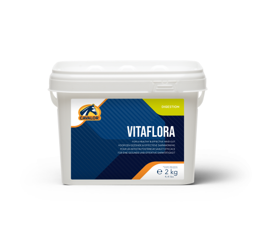 wsparcie jelit u konia.png