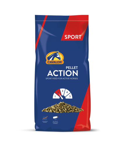 pasza dla koni lekki trening.png