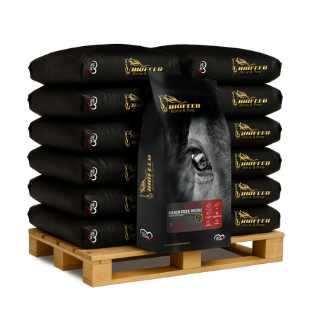 pasza dla koni biofeed.png