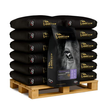 Pasza dla koni uklad oddechowy musli.png