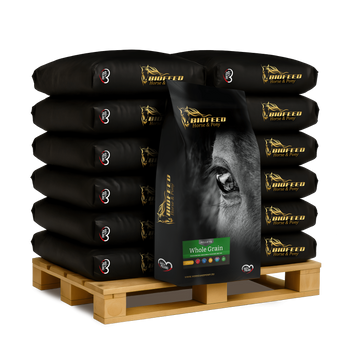 Granulat podstawowy biofeed.png