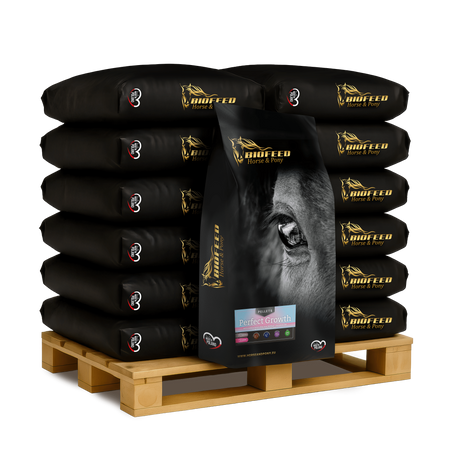 granulat dla koni hodowlanych growth.png