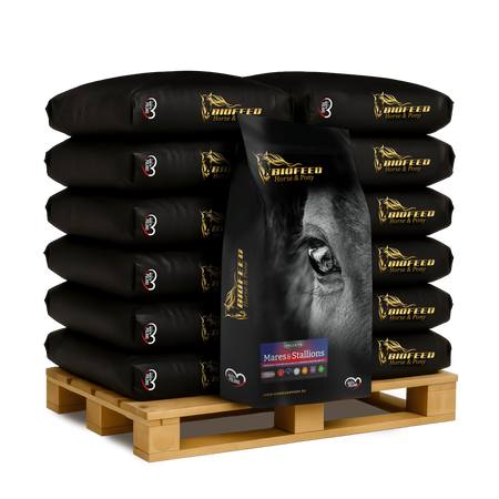 granulat hodowlany dla ogierów i klaczy.png