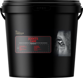 suplement na stawy bf.png