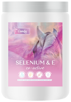 pol_il_BIOFEED-Horse-Pony-Selenium-E-Co-Active-900-g-434png.png