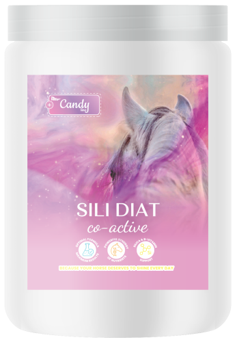 pol_pl_BIOFEED-Horse-Pony-Sili-Diat-Co-Active-600-g-438_1.png
