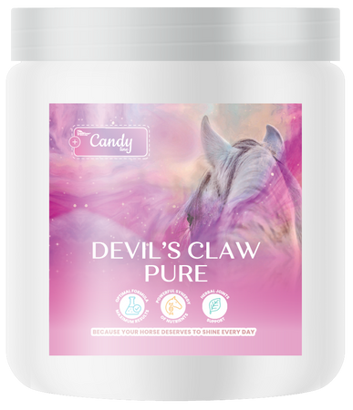 pol_pm_BIOFEED-Horse-Pony-Devils-Claw-Pure-300-g-435_1.png