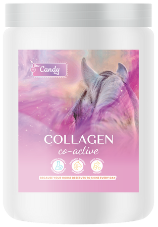 pol_pm_BIOFEED-Horse-Pony-Collagen-Co-Active-900-g-432_1 (1).png