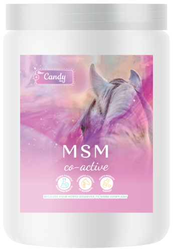 suplement dla koni aparat ruchu.png