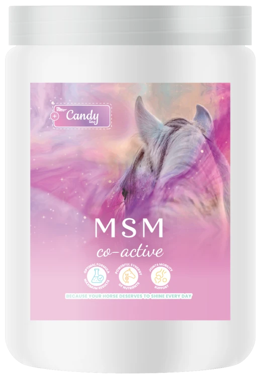 suplement dla koni aparat ruchu.png