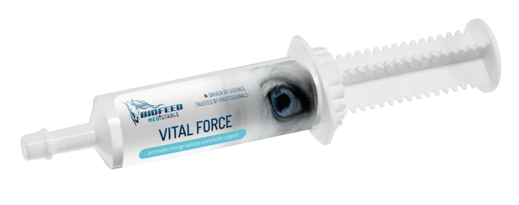 pasta dla źrebiąt.png