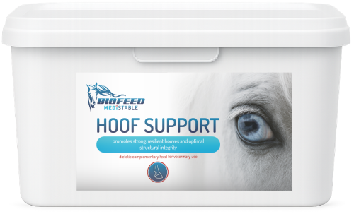 pol_pl_BIOFEED-Medistable-Hoof-Support-4-5-kg-454_1.png