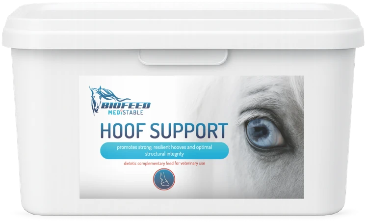 pol_pl_BIOFEED-Medistable-Hoof-Support-4-5-kg-454_1.png