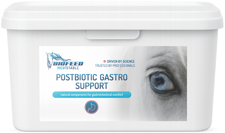 pol_pm_BIOFEED-Medistable-Postbiotic-Gastro-Support-1-5-kg-455_1.png