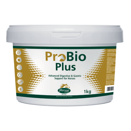 wsparcie układu trawiennego u koni.png