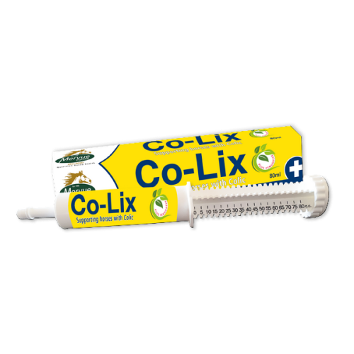 pasta wsparcie przy kolce.png