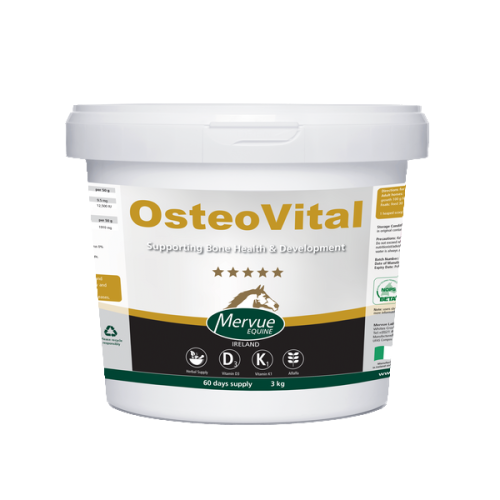 wsparcie aparatu ruchu u koni.png