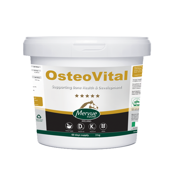 wsparcie aparatu ruchu u koni.png