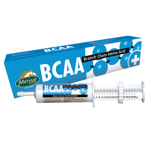 Aminokwasy rozgałęzione wspomagające regenerację mięśni po intensywnym wysiłku fizycznym dla koni.png