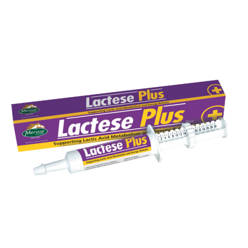 Preparat wspomagający metabolizm kwasu mlekowego i uwalnianie energii DLA KONI.png