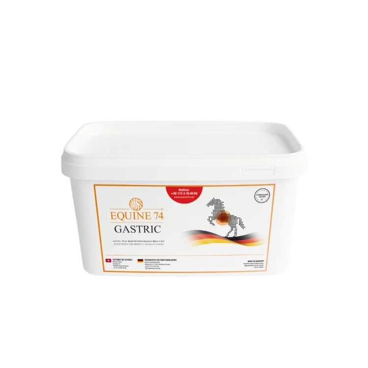 naturalny suplement dla koni na wrzody żołądka buforujący kwas żołądkowy i wspierający równowagę pH 6kg.png