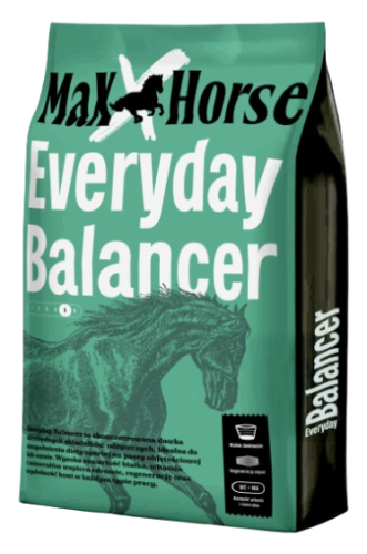 EVERYDAY_BALANCER