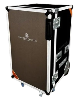 MAGNUM_CLASSIC_SHORT_VERSION