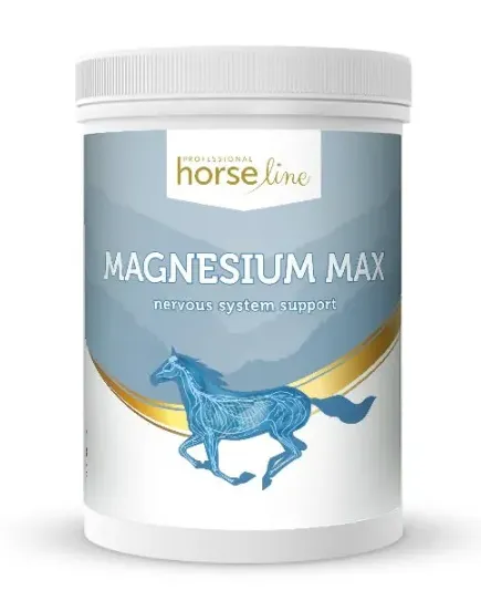 suplement-uzupelniajacy-niedobory-magnezu-magnesium-max.webp