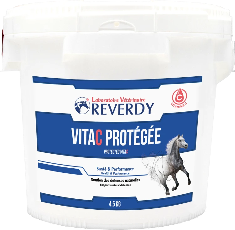 VITA C - MOYEN POT.png