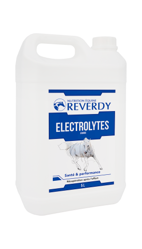 electrolytes_liquide_5_L.png