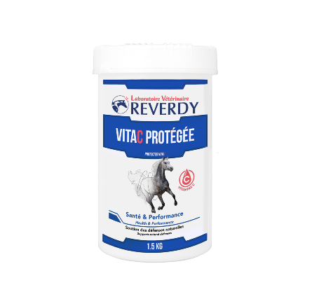 VITA C - PETIT POT.png