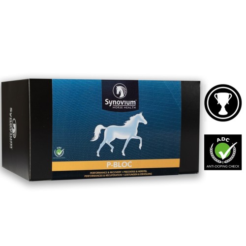 [SYN334] Synovium® P-Bloc 6 x 38 g.jpg